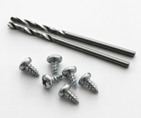 Schraubenset (Fallrohrfixierung)